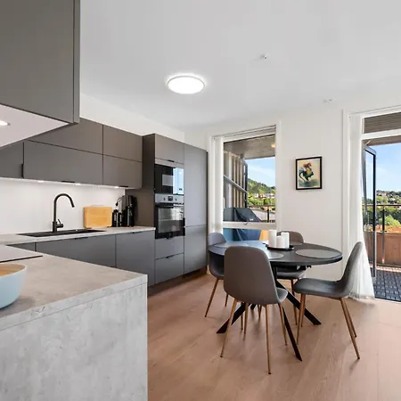 Penthouse With Rooftop Terrace & Balcony Апартаменты Берген