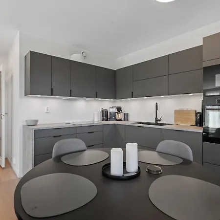 Penthouse With Rooftop Terrace & Balcony * Берген